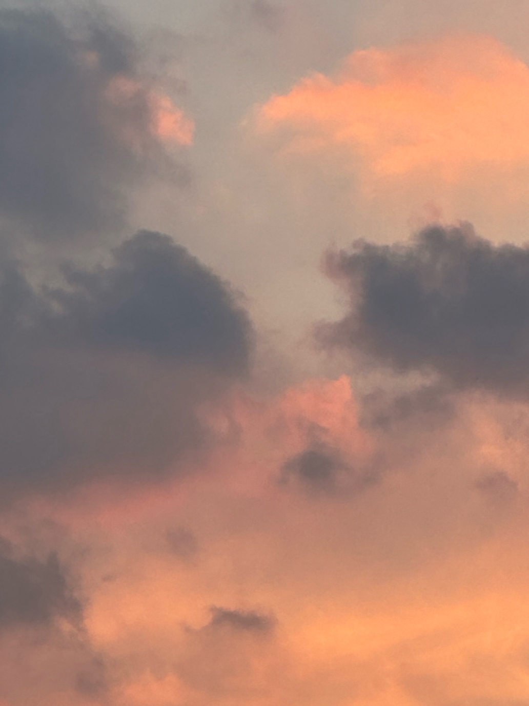 장마에 부치는 편지의 썸네일 이미지