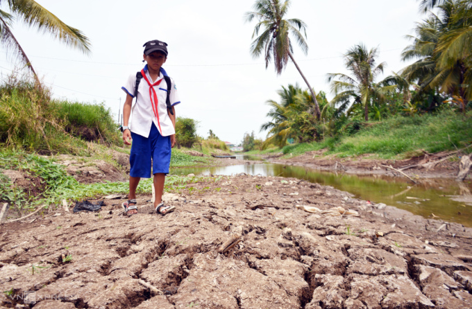 오랜 가뭄으로 2024년 3월 까마우 성 쩐반터이 읍(thị trấn Trần Văn Thời, Cà Mau)의 운하가 바닥까지 말라버렸습니다.