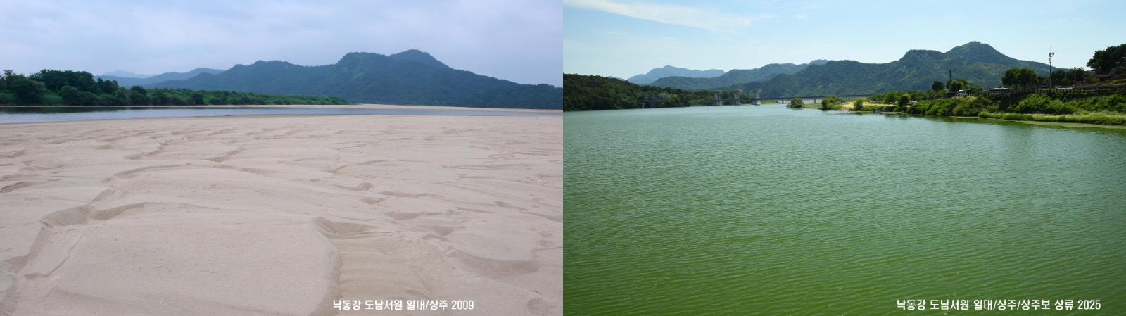 상주보 상류의 4대강 사업 전후 비교 (사진: 박용훈)