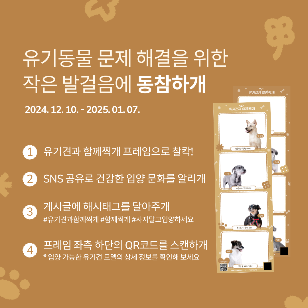 [귀여움 주의] 댕댕이들과의 특별한 한컷! (1월 7일까지 가능)