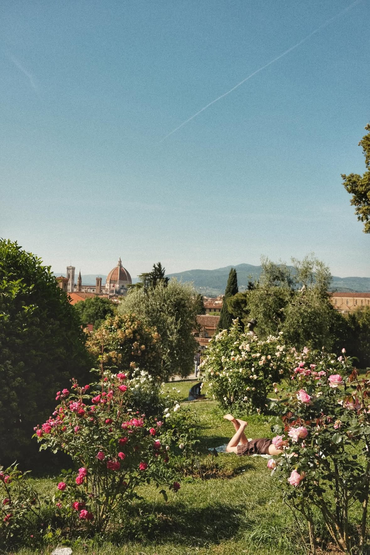 취미생활+3의 썸네일 이미지