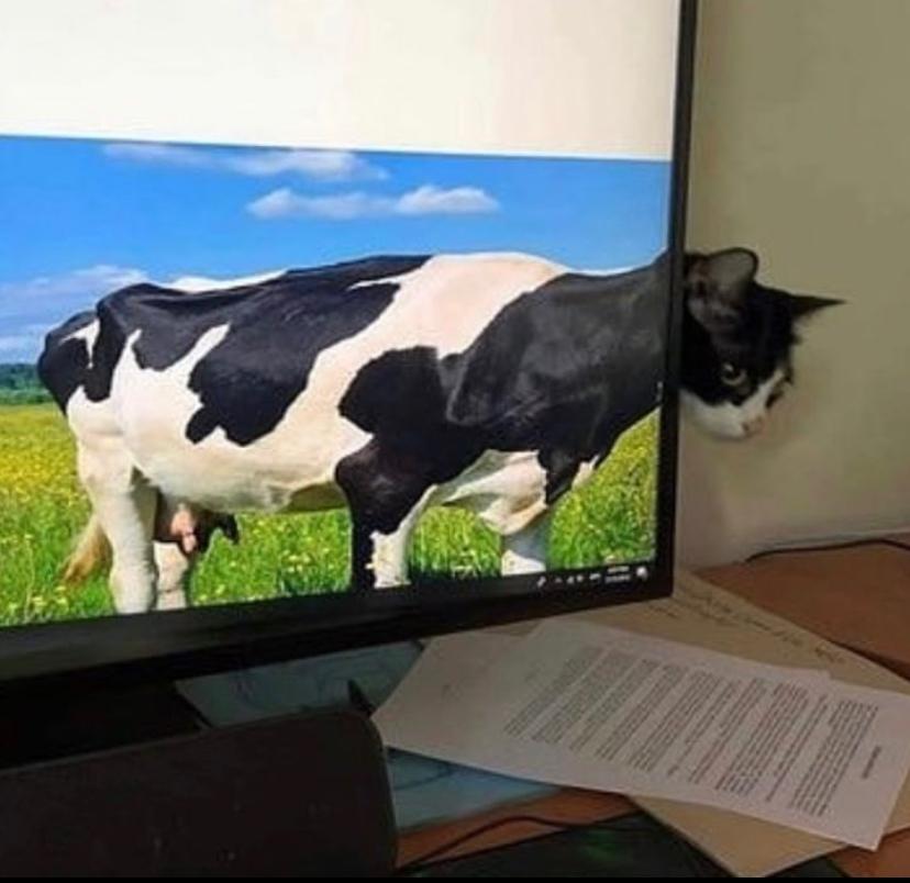 따끈따끈 한의원의 썸네일 이미지