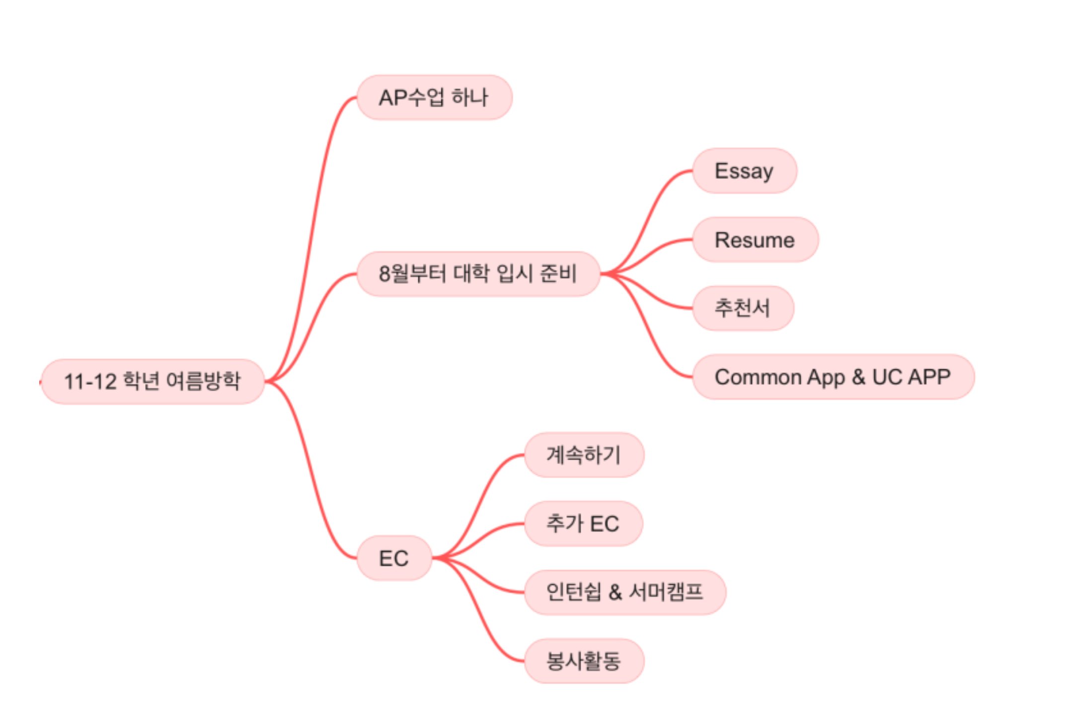 11-12학년 여름방학 골자