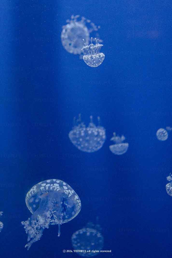 익명님에게 낯선 위로를 전합니다.