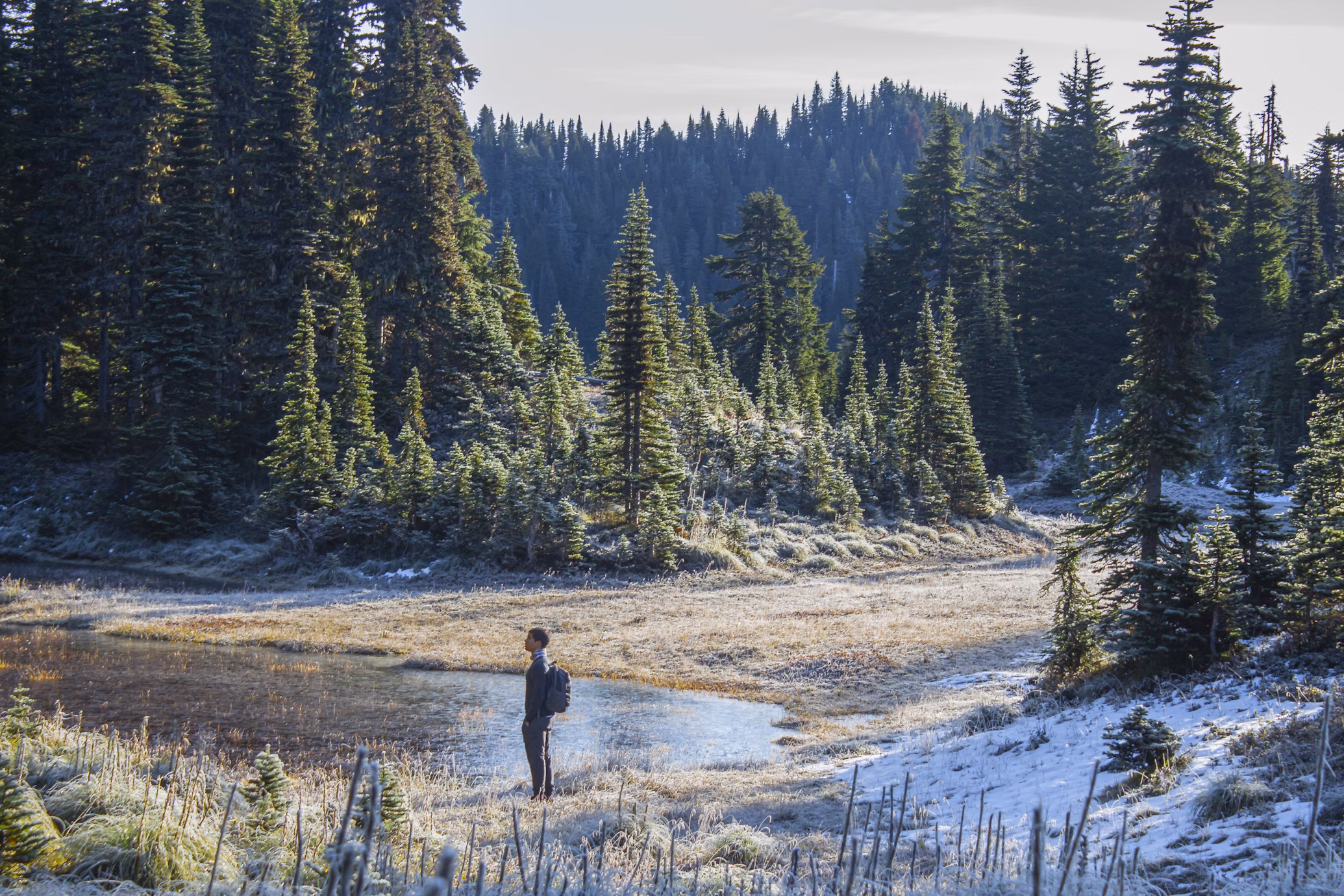 도망치지 않고, 한 걸음 더 머문 날의 썸네일 이미지