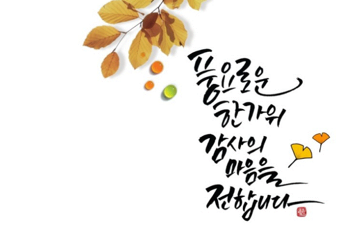 THE INSIGHT의 썸네일 이미지