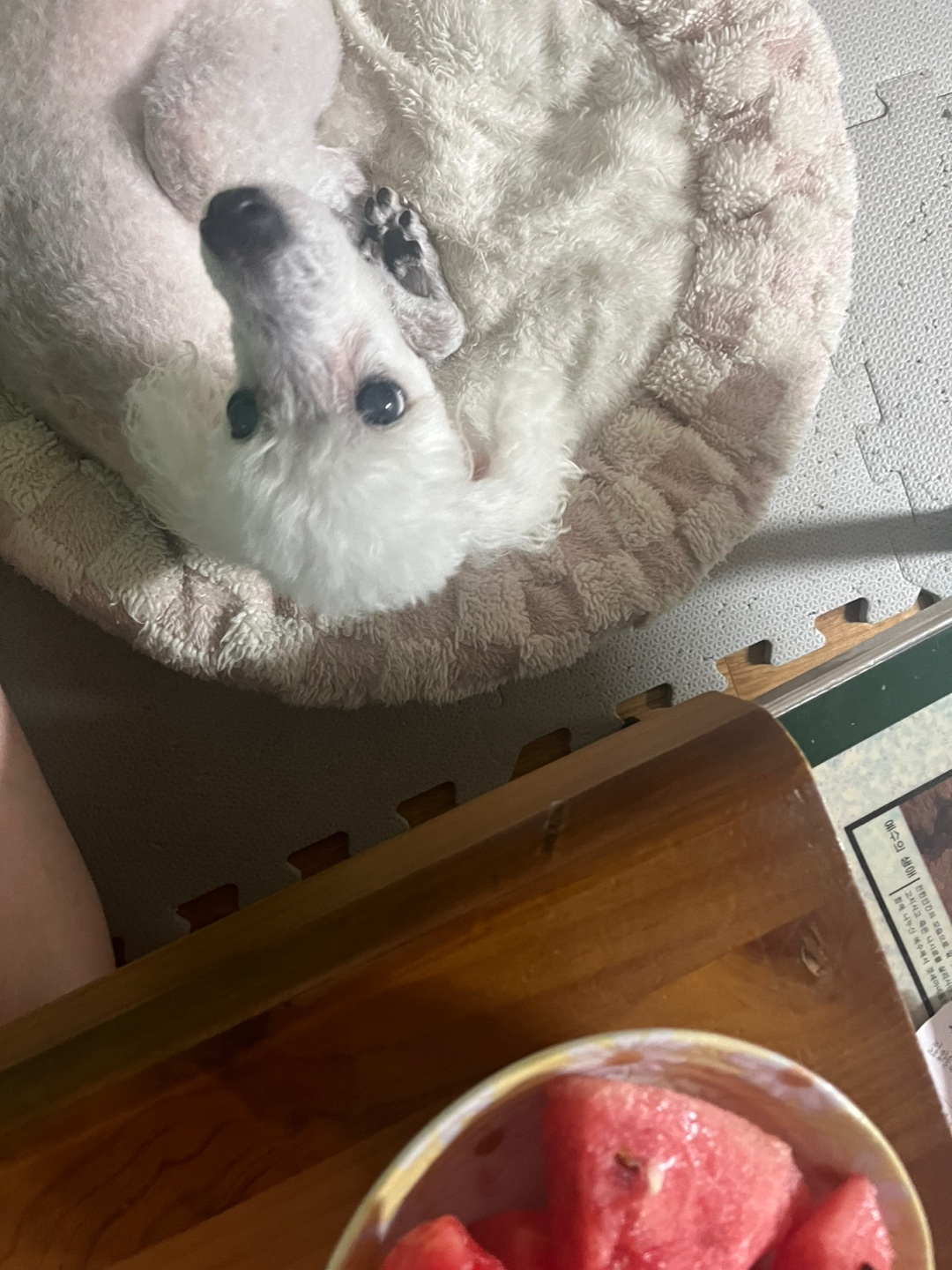 #4 우리에게 몇 번의 여름이 남았을까의 썸네일 이미지