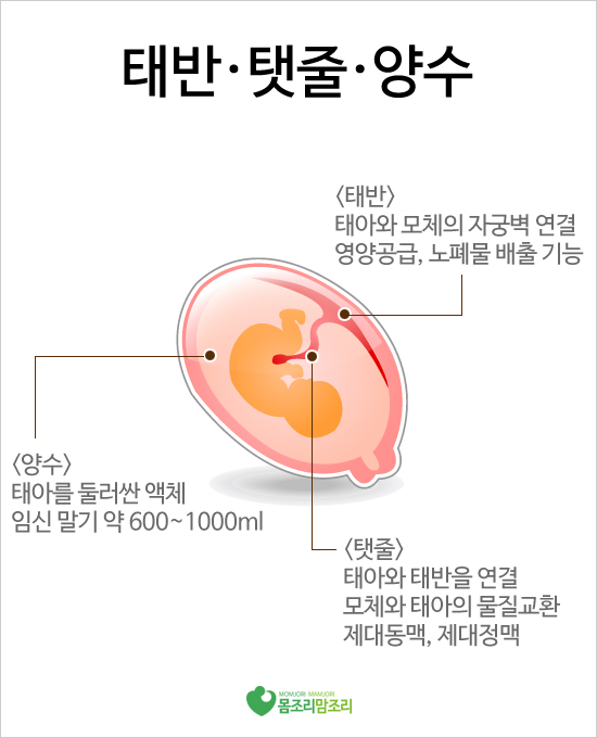 이미지출처 :몸조리맘조리