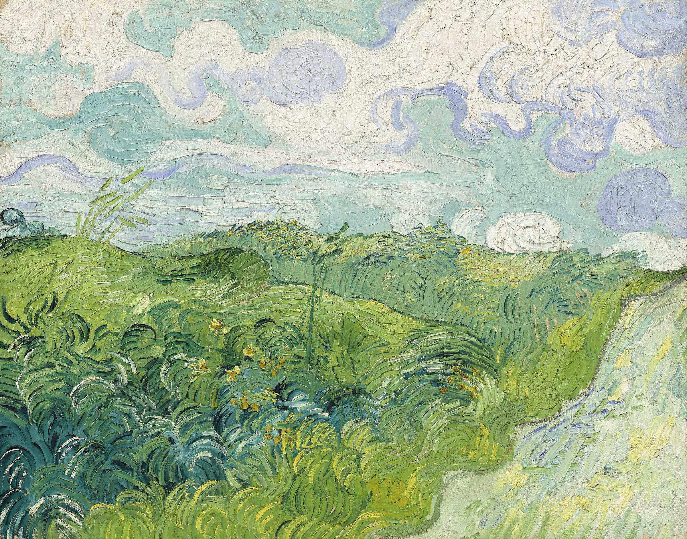 Green Wheat Fields - Vincent van Gogh