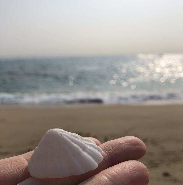 조개껍질이 너무 예뻤어요..