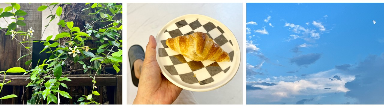(왼쪽부터) 백화등이 핀 날 / 크로와상이 잘 구워졌을 때 / 구름인 척 하는 달