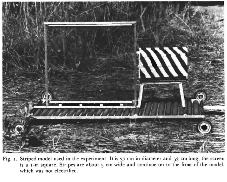 Jeffrey K. Waage, 「How the zebra got its stripes - biting flies as selective agents in the evolution of zebra coloration」