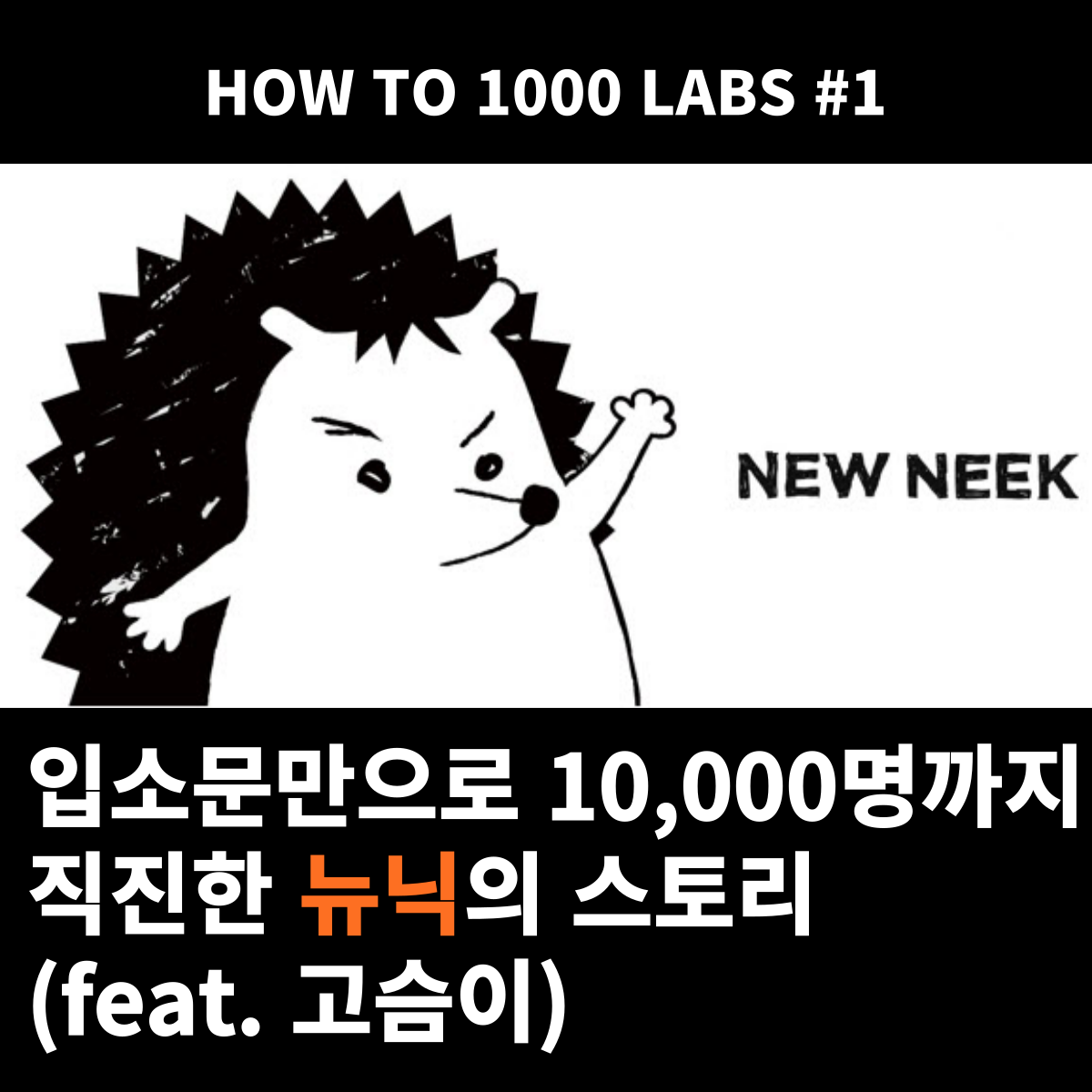 입소문만으로 10,000명까지 직진한 뉴닉의 스토리 (feat. 고슴이)의 썸네일 이미지
