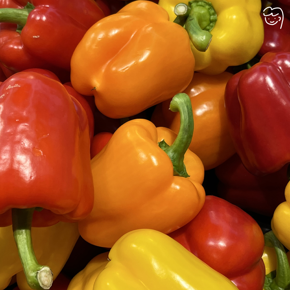 파프리카는 주황색이 맛있어의 썸네일 이미지