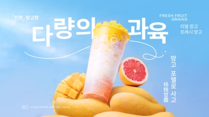 자료: 차백도&nbsp;