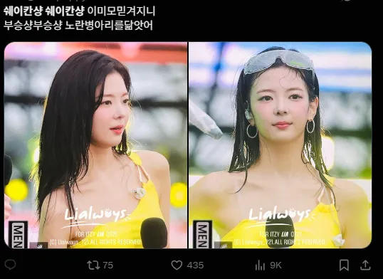 이미지 = X캡처 (https://x.com/choipuppyz/status/1941142357766029668)