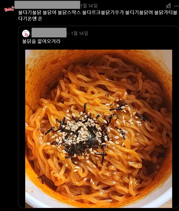 이미지 = X캡처 (https://x.com/Buldak_Global/status/1879069228667703389)