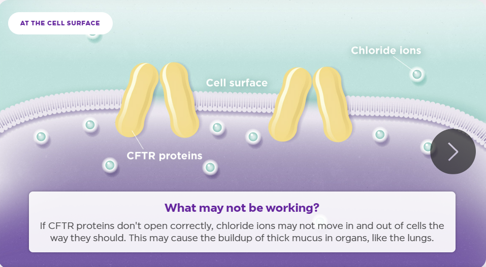 출처: Alyftrek 홈페이지