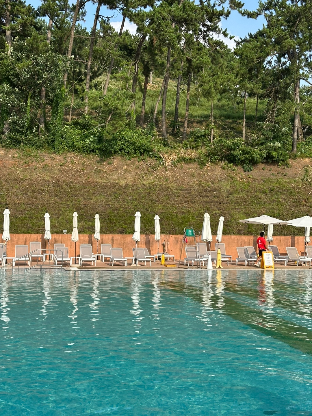 여름의 애교의 썸네일 이미지