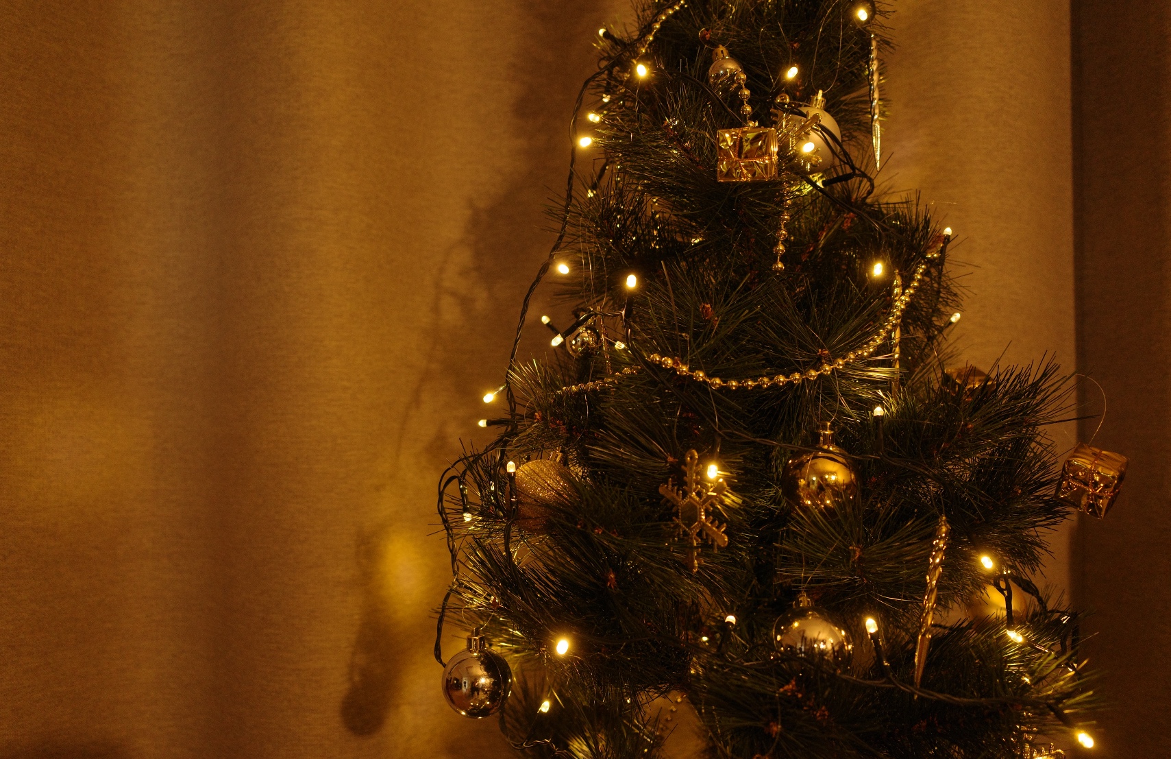 2024 ⓒ cornertable