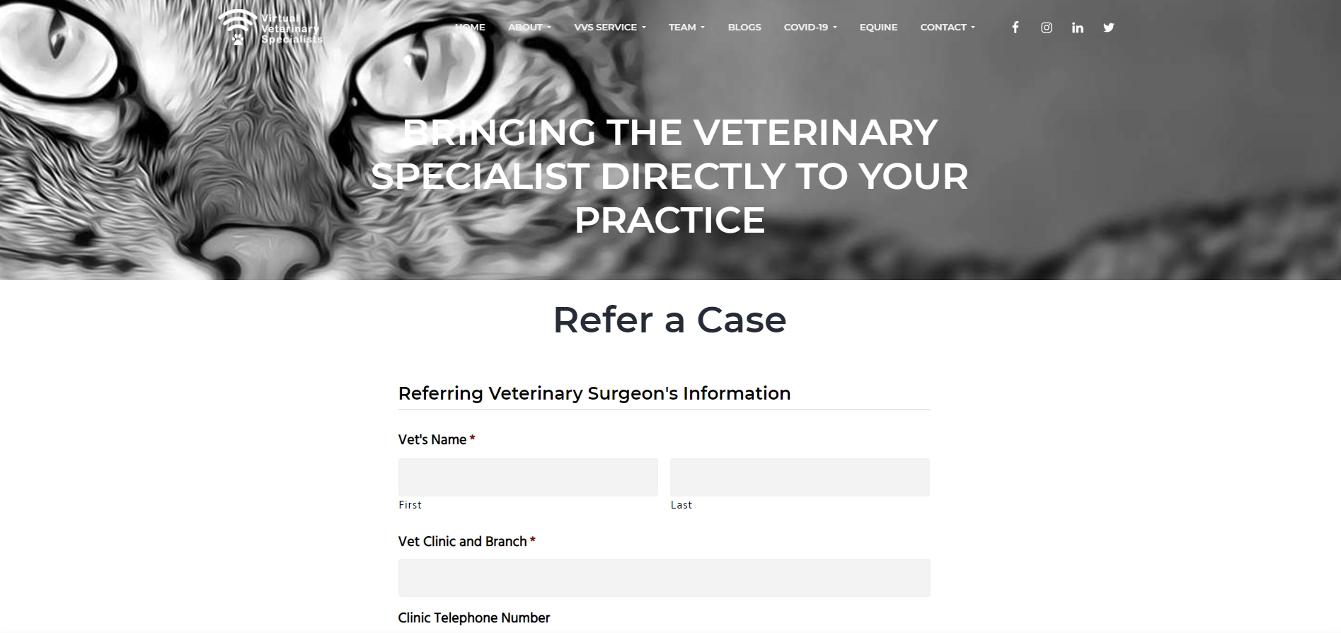 https://vvs.vet/