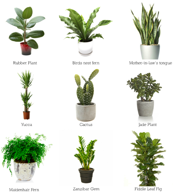 출처 : https://blog.naver.com/ineedwook/220815094809