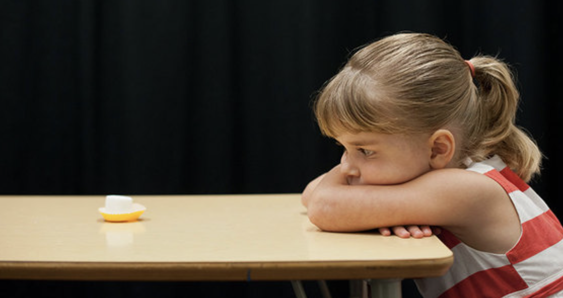 출처: 로체스터대