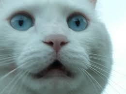 다들 뭐하는 겨..?