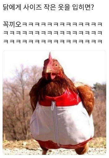 첨부 이미지