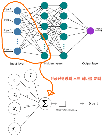 인공신경망에서 노드(동그라미) 하나를 분리하면 퍼셉트론이 됩니다.