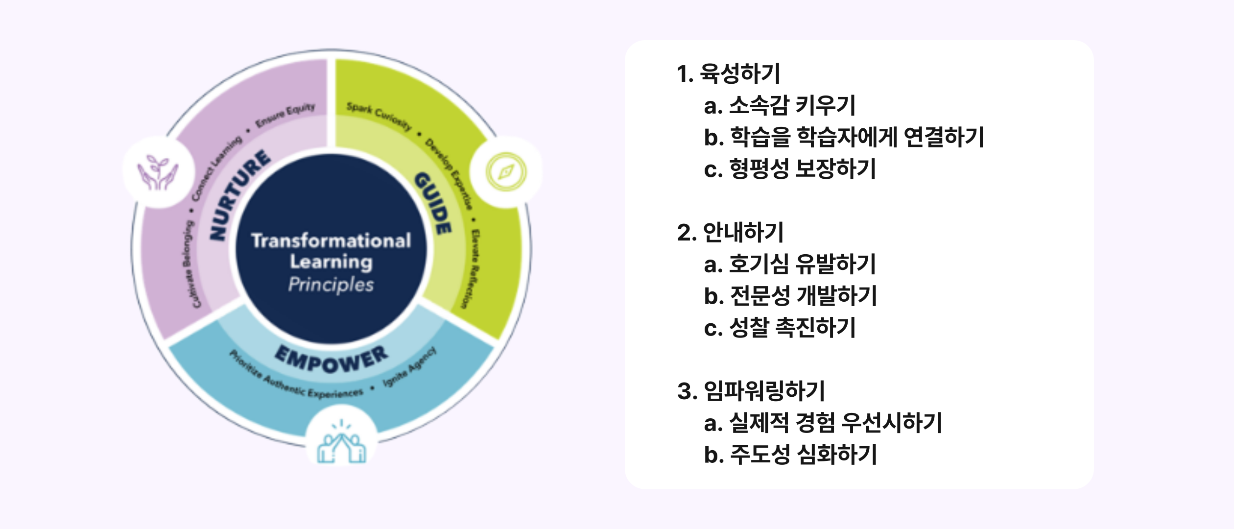변혁적 학습 원칙(Transformational Learning Principles, TLPs) - 이미지를 눌러보세요!