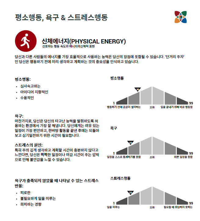 버크만 검사 - 평소 행동 및 스트레스 행동 분석 결과