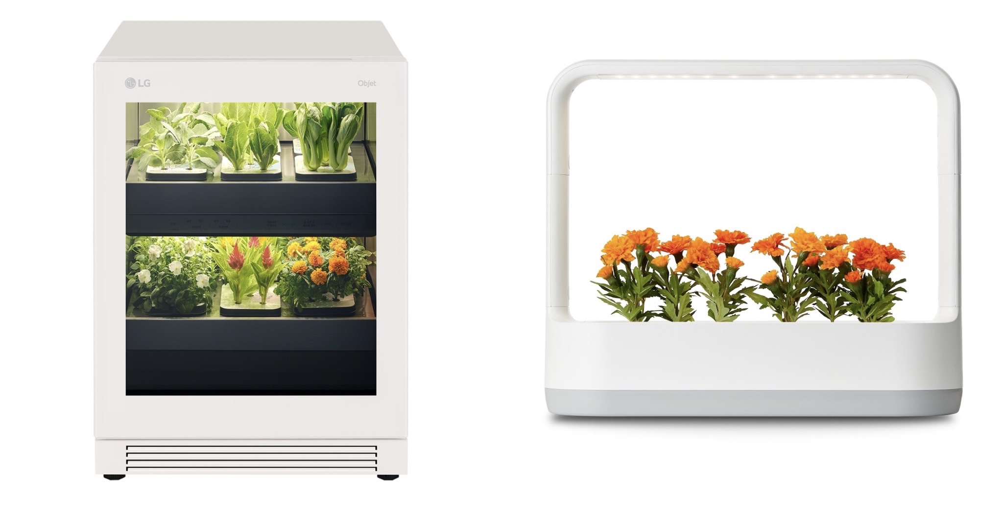 왼-LG 틔운, 오-LG 틔운 미니