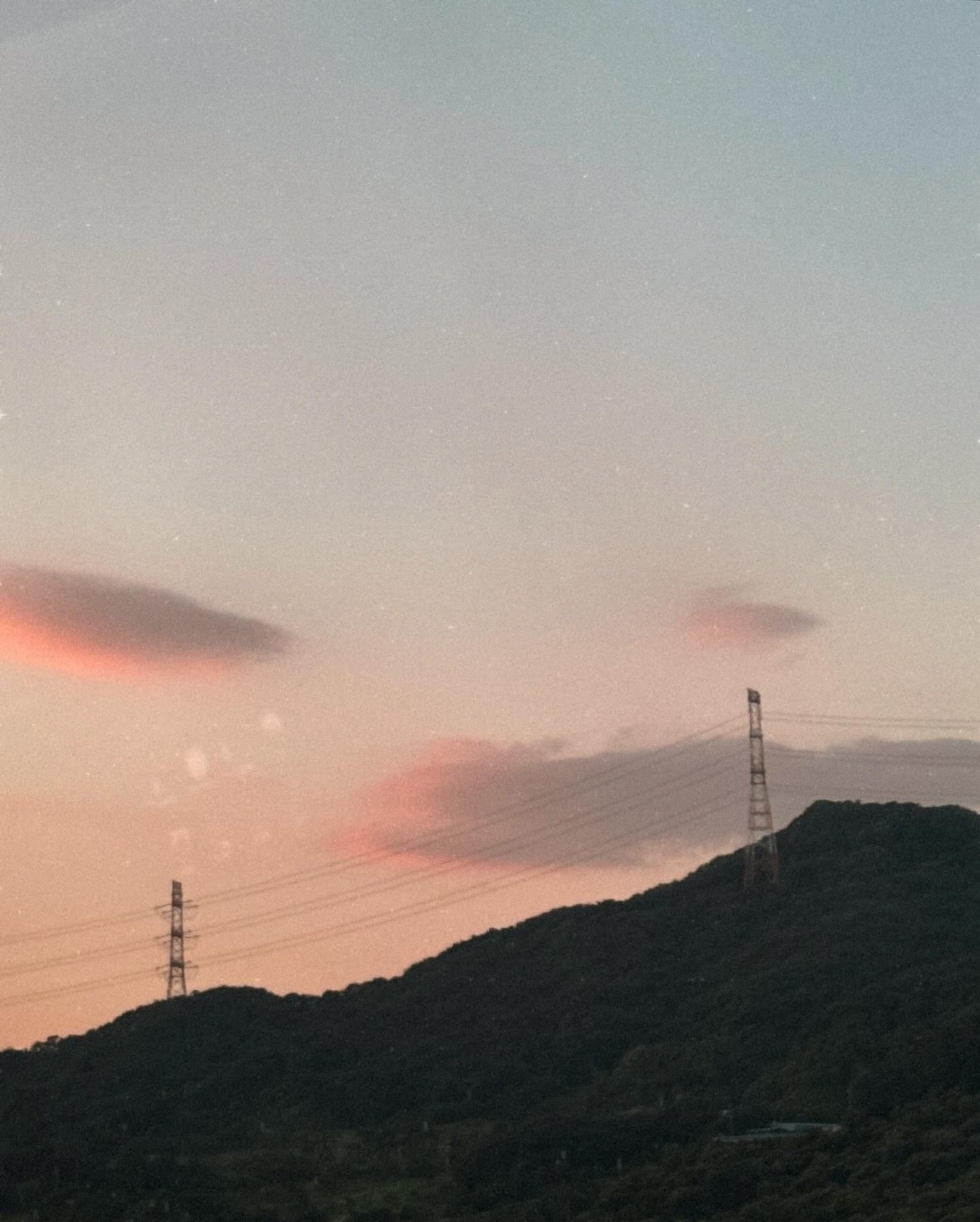 만자남 감량일지의 썸네일 이미지