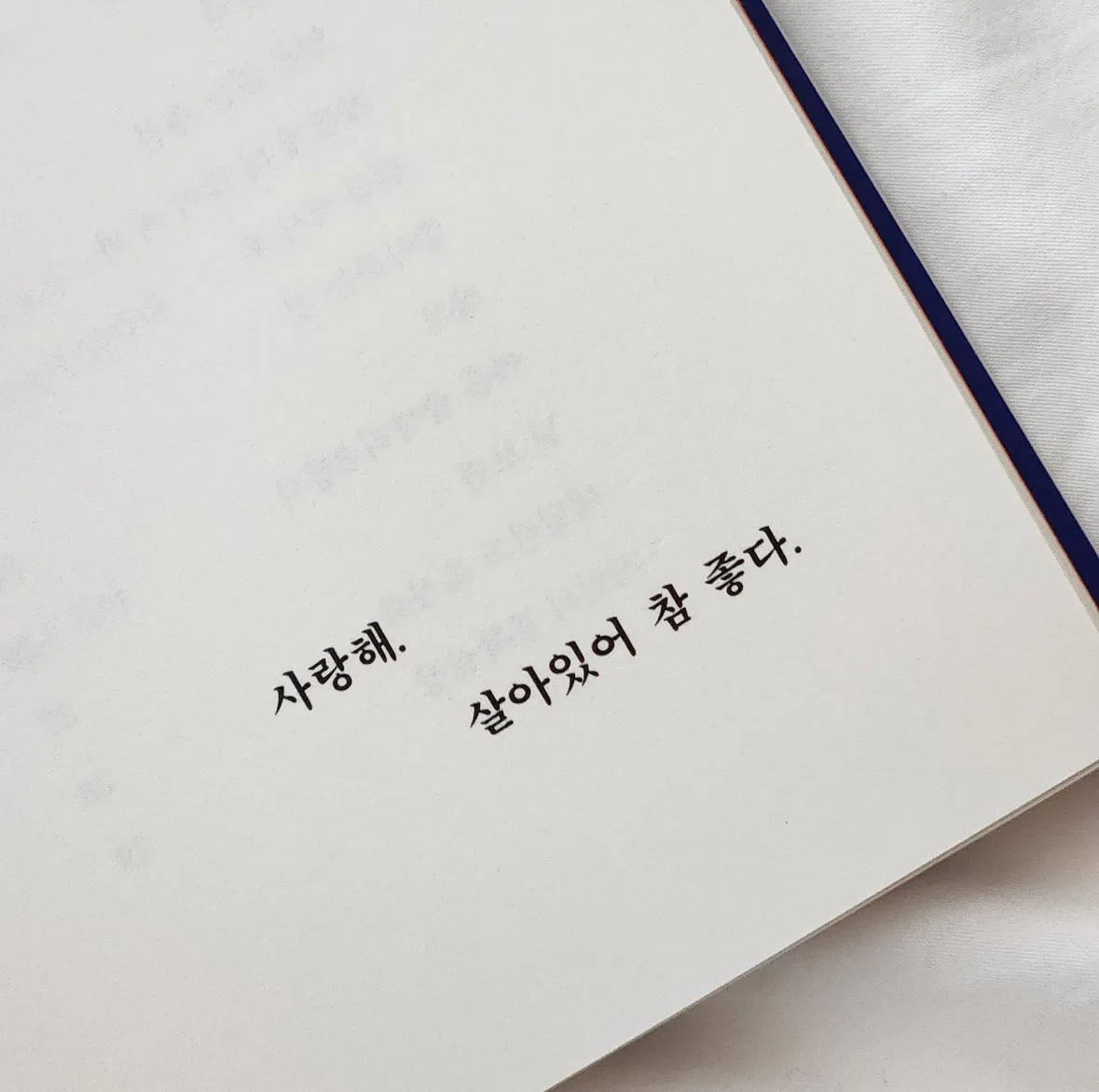 이미지 = 에디터 심풀 제공