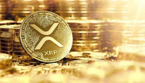 Exploring the Mysterious Factors of XRP CAD Price Fluctuations의 썸네일 이미지