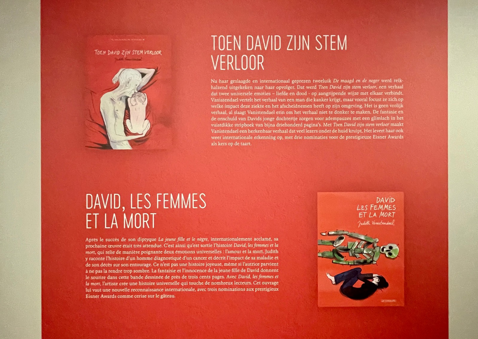 David, Les femmes et la Mort / Judith Vanistendael<div>2013. 01. 13 / 265 pages / 978-2-80363-024-0 </div>