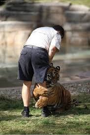 SNS계정은 살아있으니... 뉴스레터 <모아>의 존재를 잊찌 말아주세효....