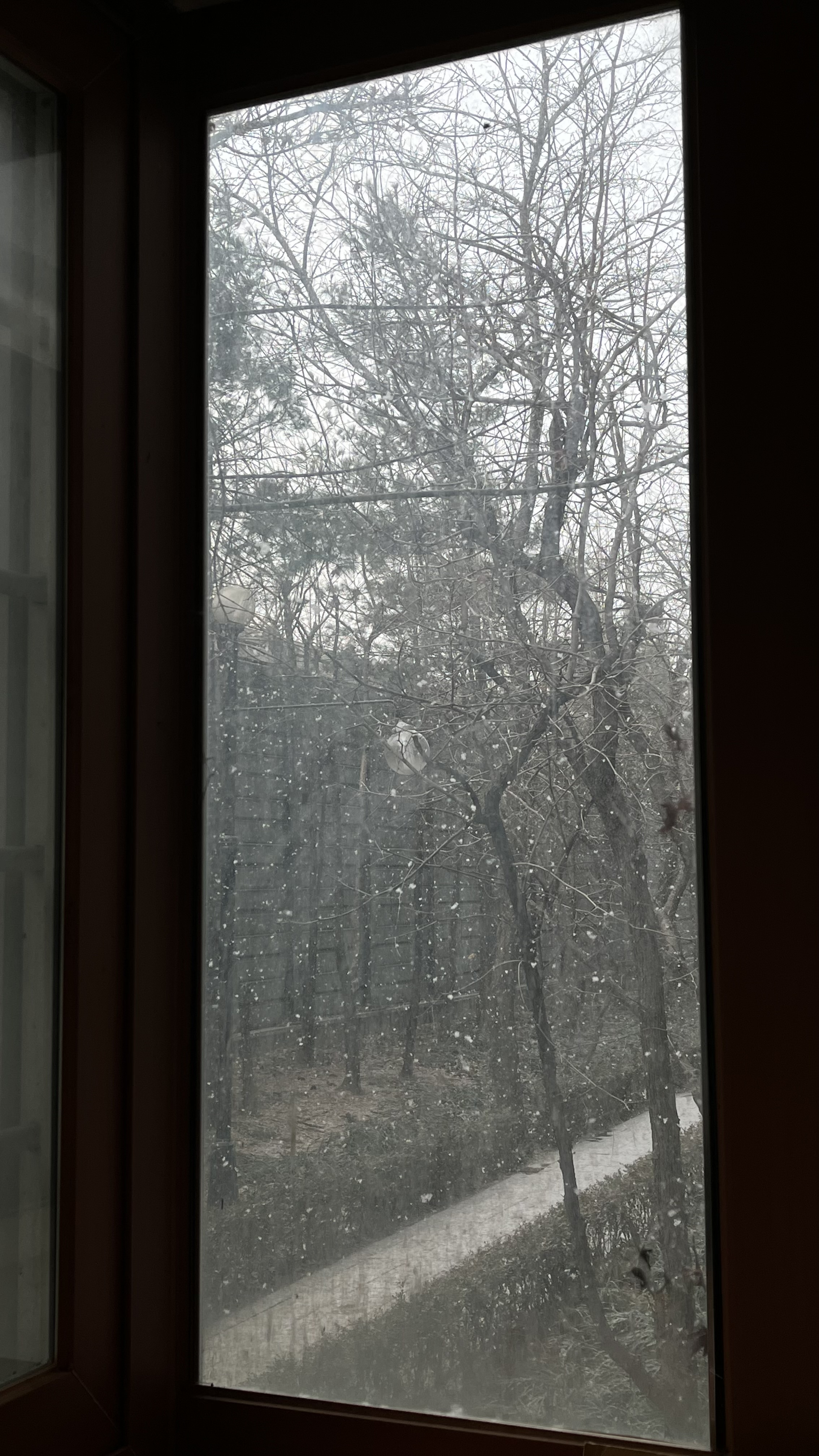 집이 1층이라 좋은 점.눈 내리는 예쁜 산책 길을 볼 수 있어