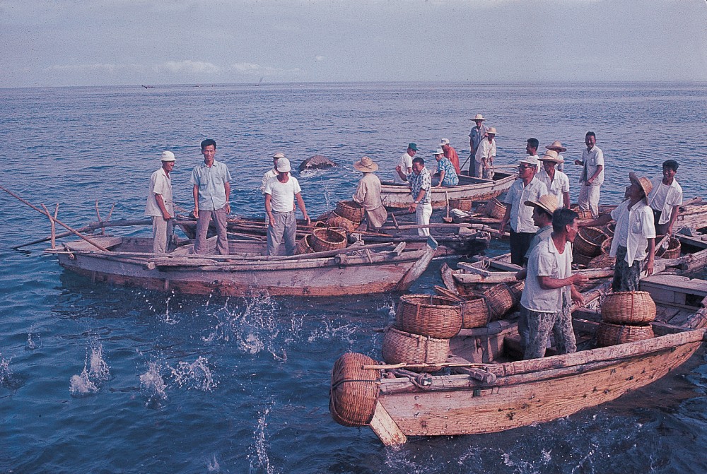 구룡포 삼정리 전복치패사업 (1970)