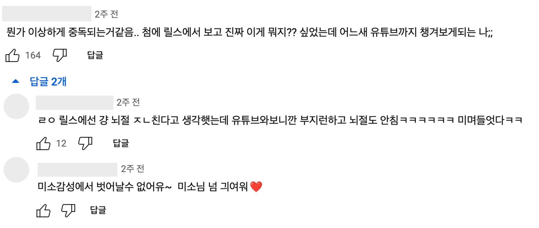 이미지 = 유튜브 채널 ‘미소miso’ 영상 댓글 캡쳐(https://youtu.be/BT0hLZdRqC4?si=KmOJecYDAgWbIOpH)