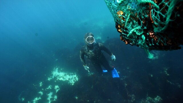 해녀들의 삶의 현장인 거친 바다 속 ⓒ해녀박물관