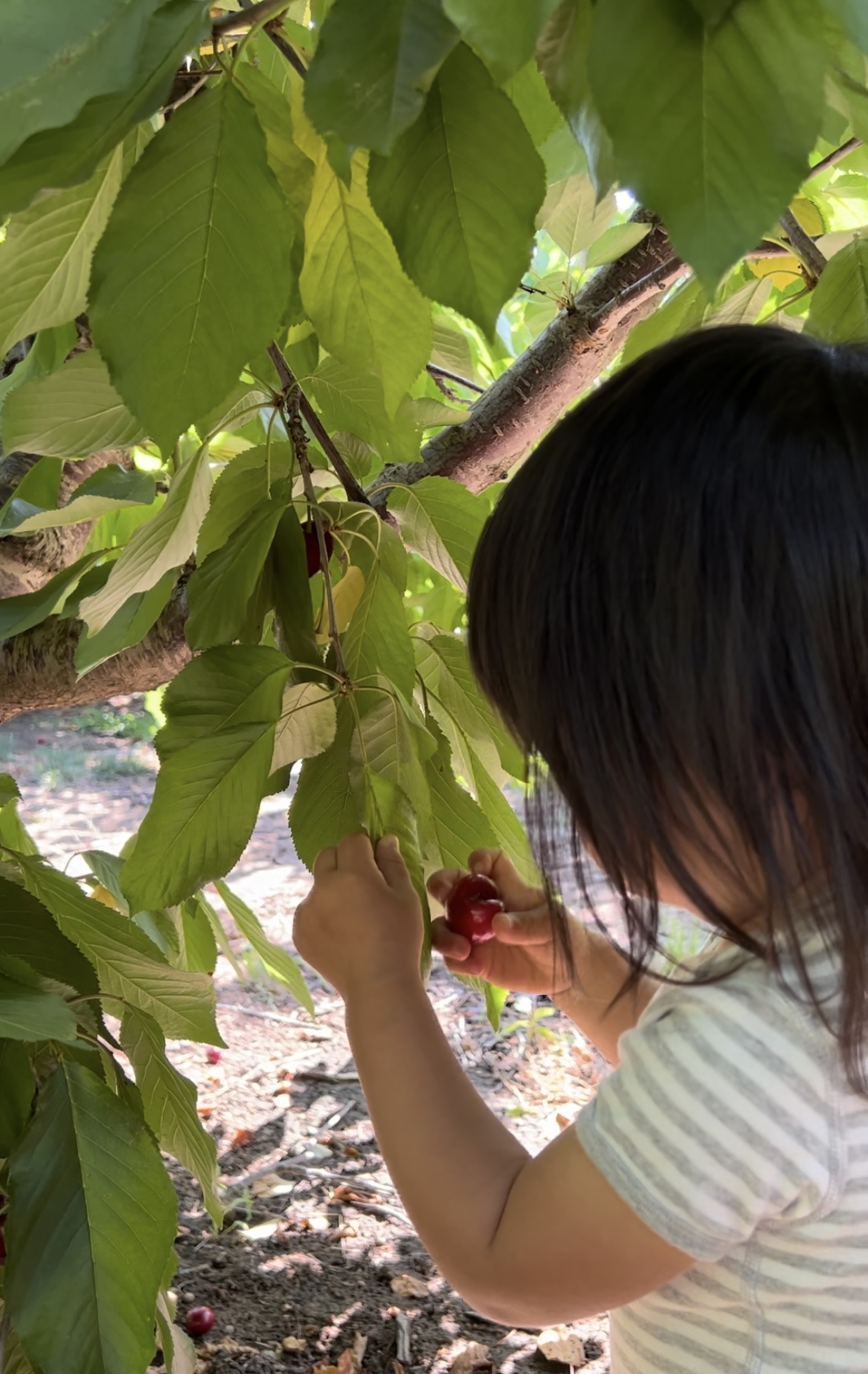 #177 큰 기관투자자에게 꼭 필요한 존재의 썸네일 이미지