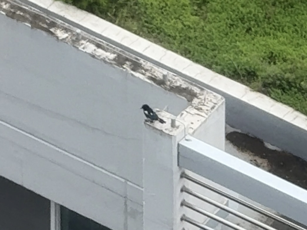 ⏳&nbsp;모래시계:&nbsp;우두커니 앉아 무슨 생각을 하는 걸까요.