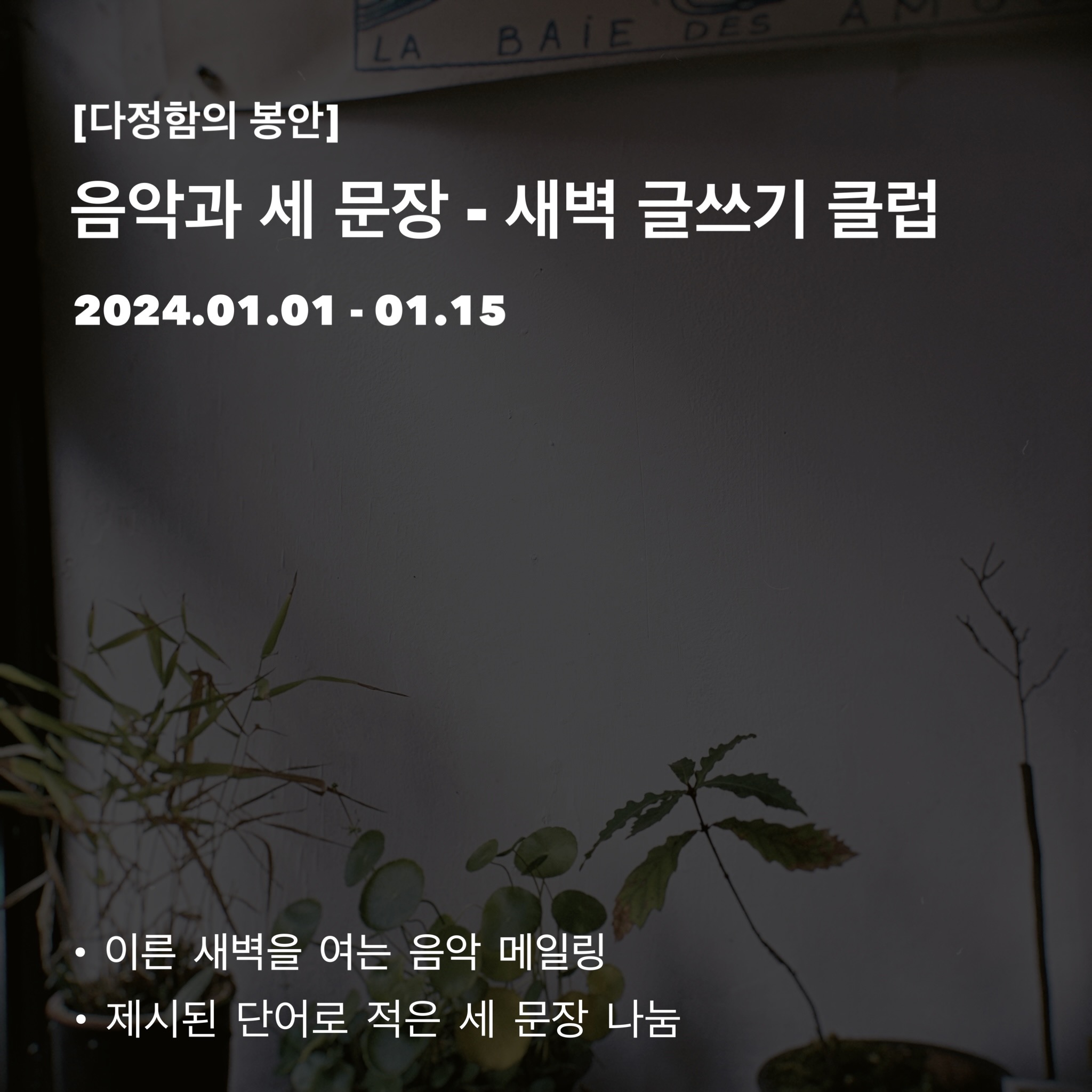 2023년 12월 26일, 스물두 번째 편지의 썸네일 이미지