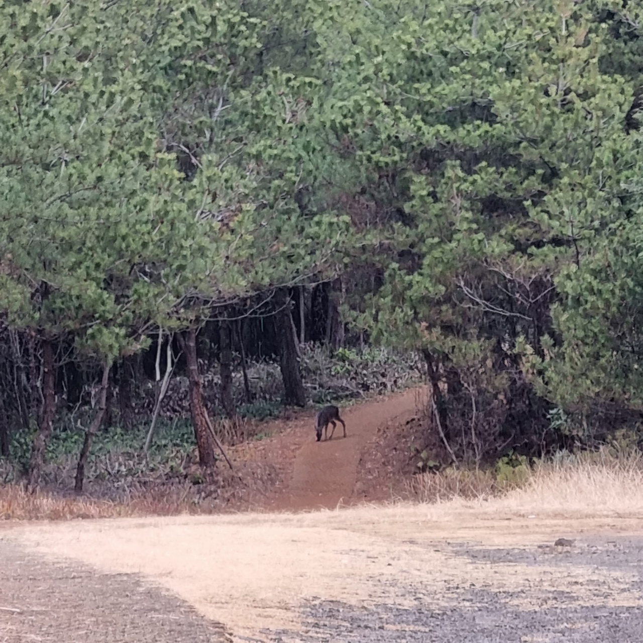 꽤 괜찮은 눈싸움이었어