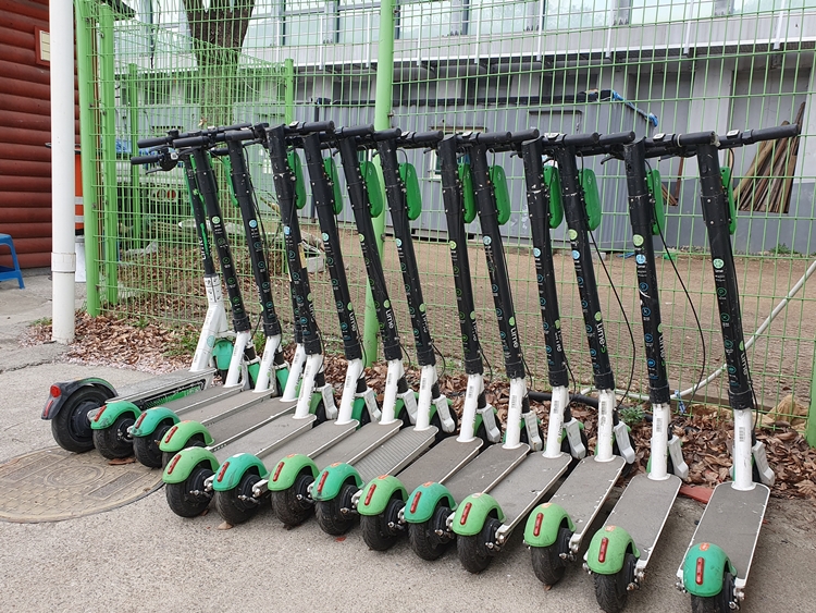 정말 공유 킥보드 규제만 문제일까요?