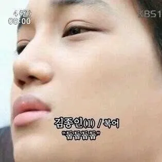 이미지 = 네이버 블로그 캡처 (https://blog.naver.com/tjdlgml/70183746069)