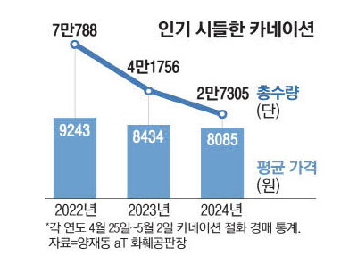https://www.mk.co.kr/news/business/11005965