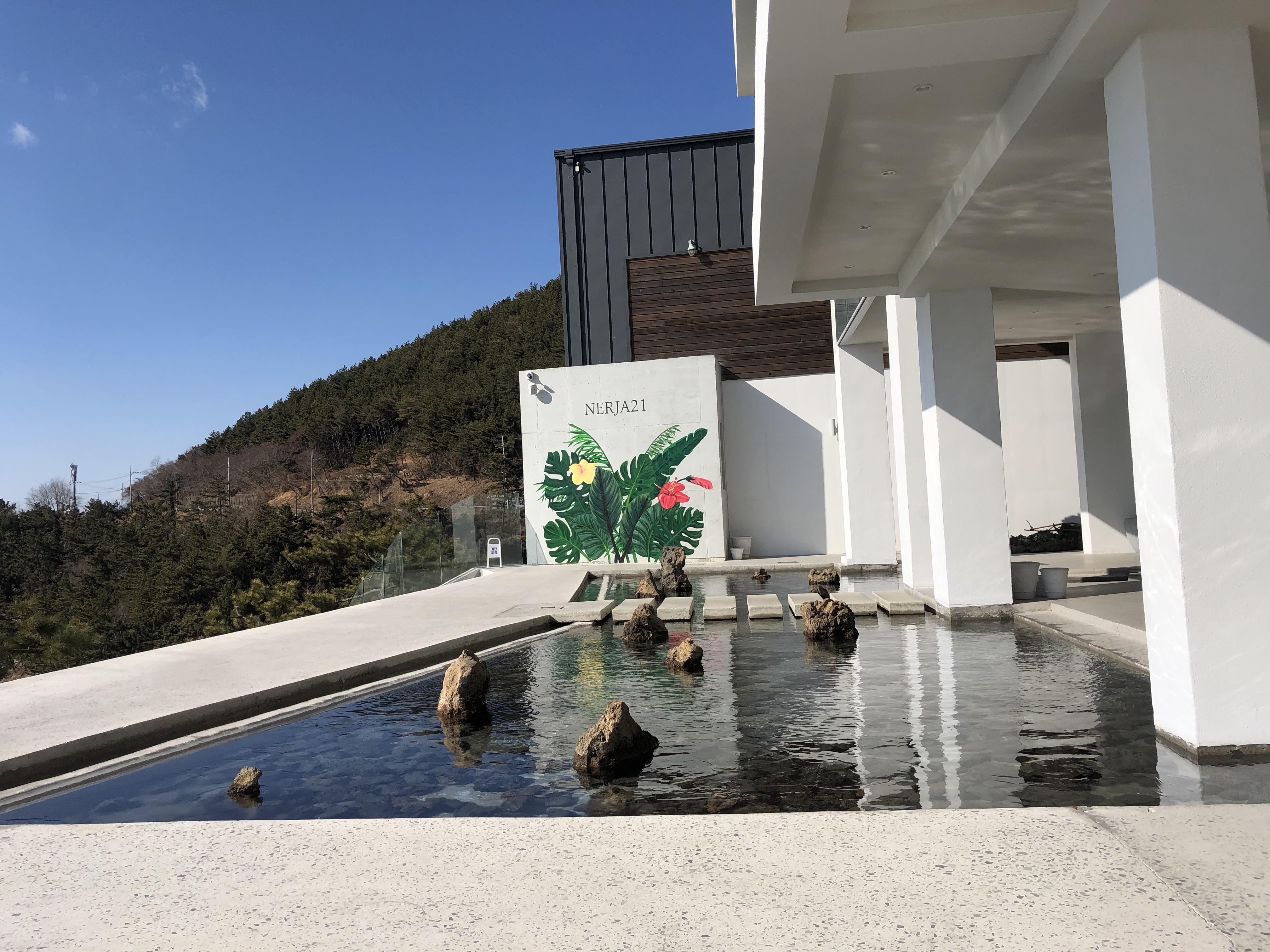 카페, 네르하 21